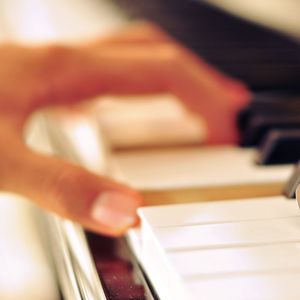 artist:tometartist:tomet
