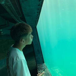 artist:tometartist:tomet
